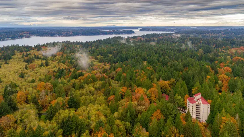 evergreen state college tours